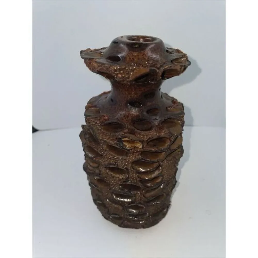 Handcrafted Banksia Nut Seed Pod Vase For Essential Oil W‎ Glass Tube 7